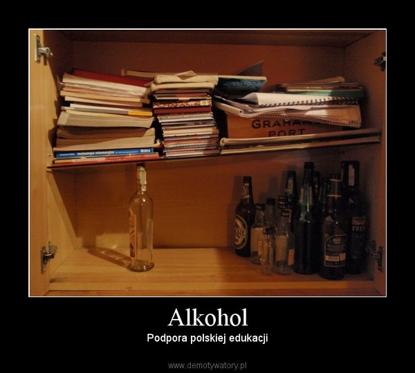 Alkohol – Podpora polskiej edukacji 