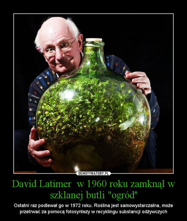 David Latimer  w 1960 roku zamknął w szklanej butli "ogród'' – Ostatni raz podlewał go w 1972 roku. Roślina jest samowystarczalna, może przetrwać za pomocą fotosyntezy w recyklingu substancji odżywczych 