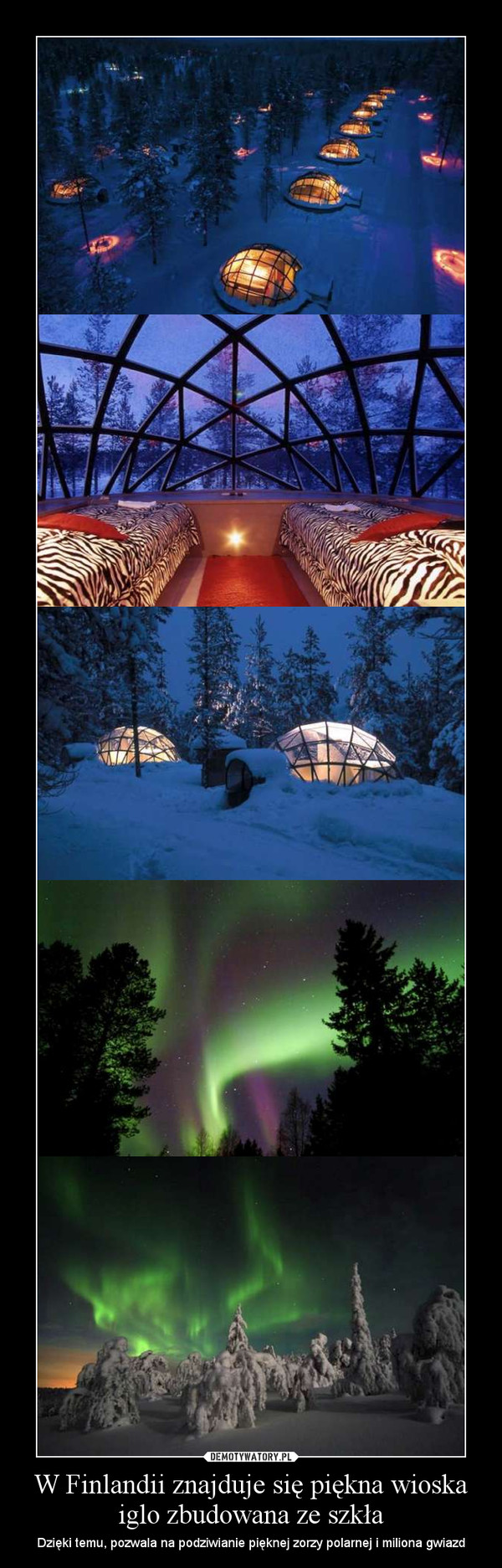 W Finlandii znajduje się piękna wioska iglo zbudowana ze szkła – Dzięki temu, pozwala na podziwianie pięknej zorzy polarnej i miliona gwiazd 