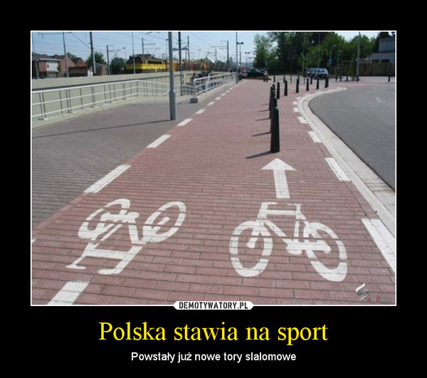 Polska stawia na sport