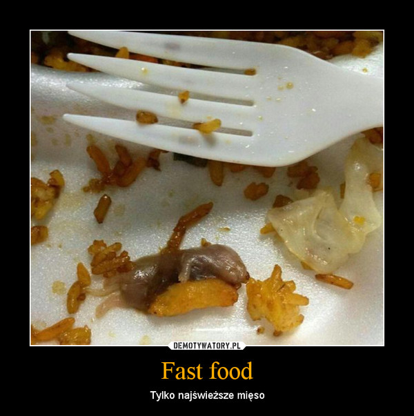 Fast food – Tylko najświeższe mięso 