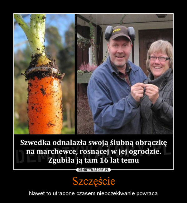 Szczęście – Nawet to utracone czasem nieoczekiwanie powraca 