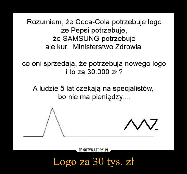 Logo za 30 tys. zł –  