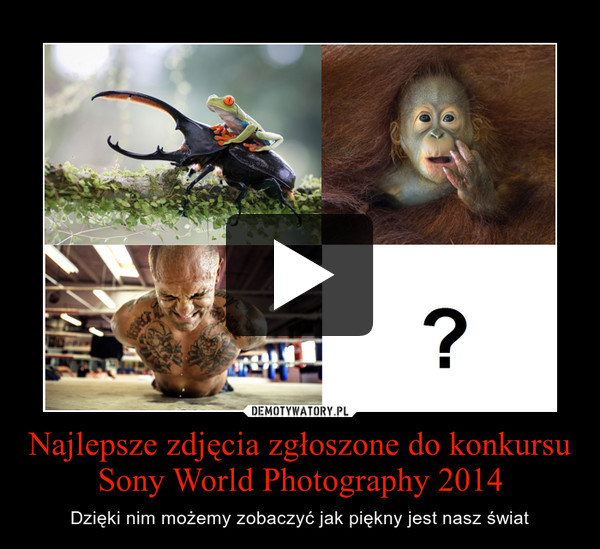 Najlepsze zdjęcia zgłoszone do konkursu Sony World Photography 2014 – Dzięki nim możemy zobaczyć jak piękny jest nasz świat 