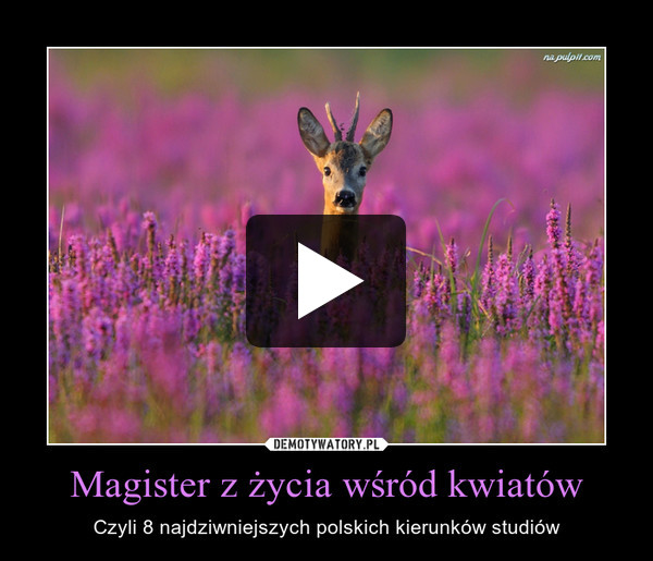 Magister z życia wśród kwiatów – Czyli 8 najdziwniejszych polskich kierunków studiów 