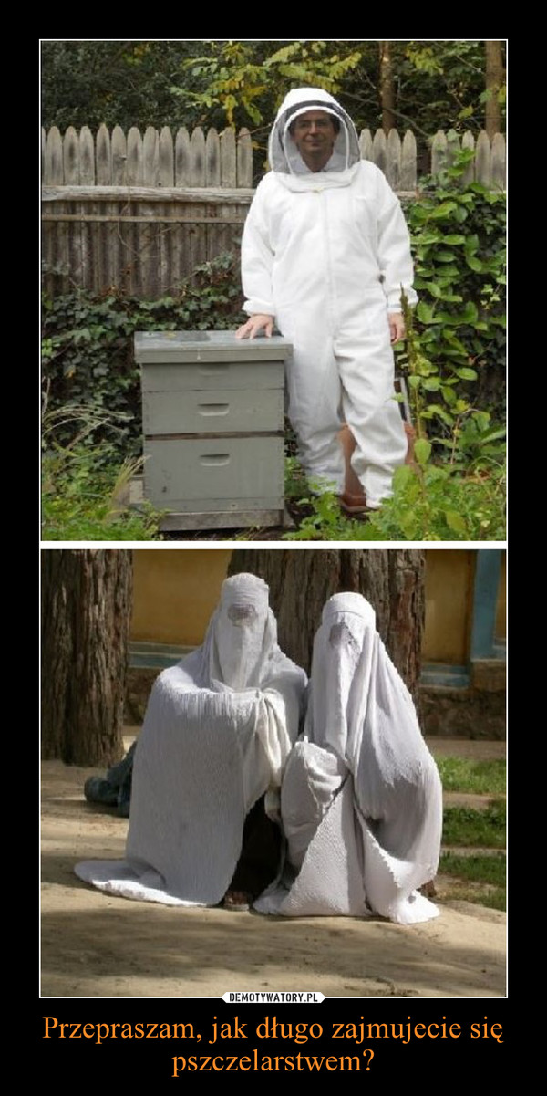 Przepraszam, jak długo zajmujecie się pszczelarstwem?