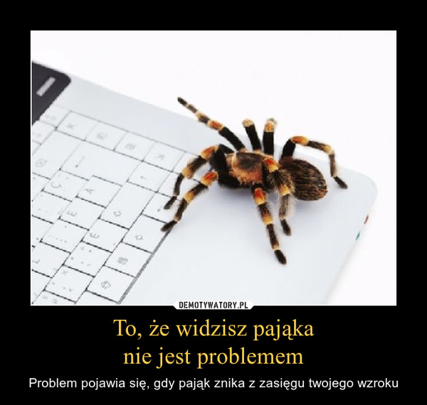 To, że widzisz pająkanie jest problemem – Problem pojawia się, gdy pająk znika z zasięgu twojego wzroku 