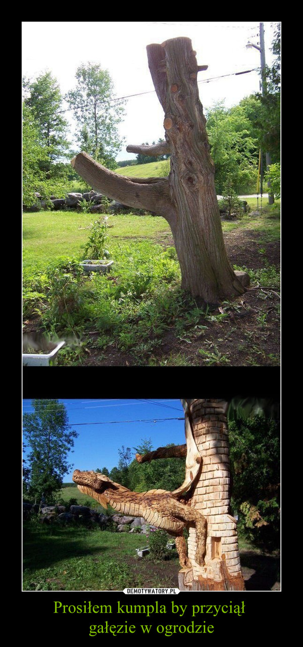 Prosiłem kumpla by przyciął 
gałęzie w ogrodzie