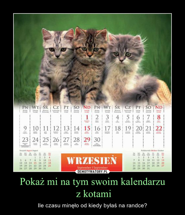 Pokaż mi na tym swoim kalendarzu z kotami – Ile czasu minęło od kiedy byłaś na randce? 