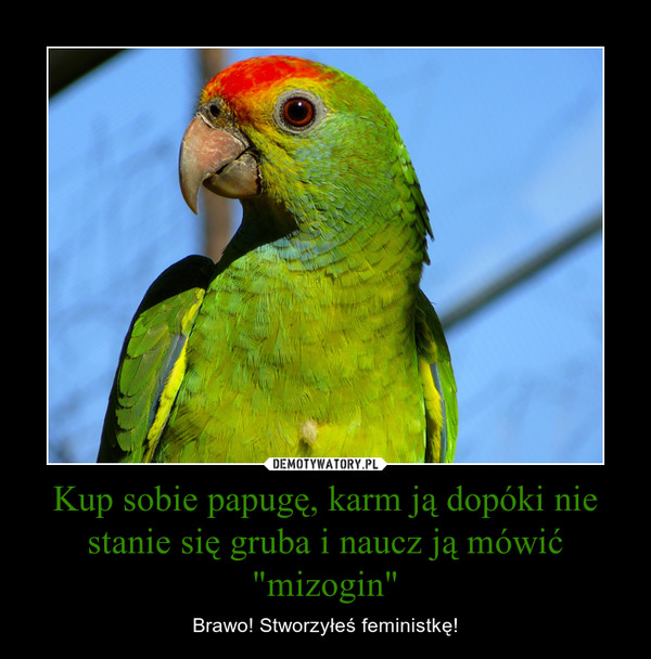 Kup sobie papugę, karm ją dopóki nie stanie się gruba i naucz ją mówić "mizogin"