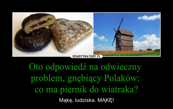 Oto odpowiedź na odwieczny problem, gnębiący Polaków: co ma piernik do wiatraka? – Mąkę, ludziska. MĄKĘ! 