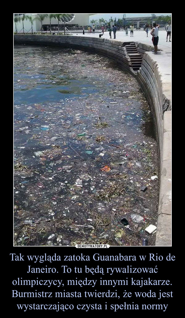 Tak wygląda zatoka Guanabara w Rio de Janeiro. To tu będą rywalizować olimpiczycy, między innymi kajakarze. Burmistrz miasta twierdzi, że woda jest wystarczająco czysta i spełnia normy
