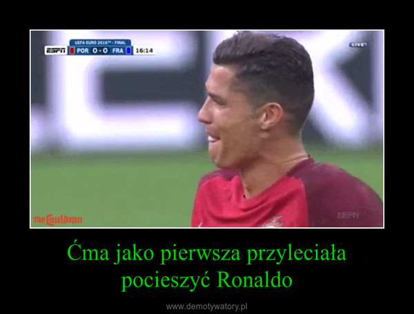 Ćma jako pierwsza przyleciałapocieszyć Ronaldo –  