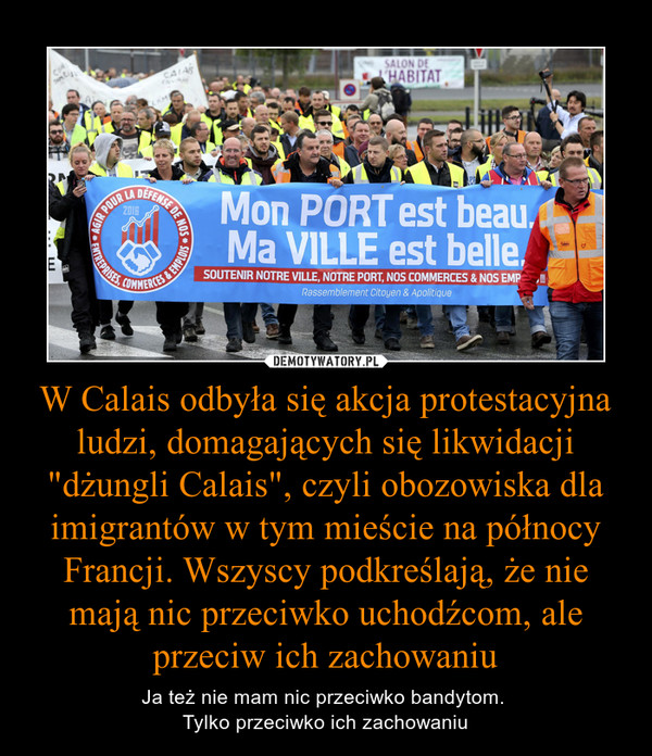W Calais odbyła się akcja protestacyjna ludzi, domagających się likwidacji "dżungli Calais", czyli obozowiska dla imigrantów w tym mieście na północy Francji. Wszyscy podkreślają, że nie mają nic przeciwko uchodźcom, ale przeciw ich zachowaniu