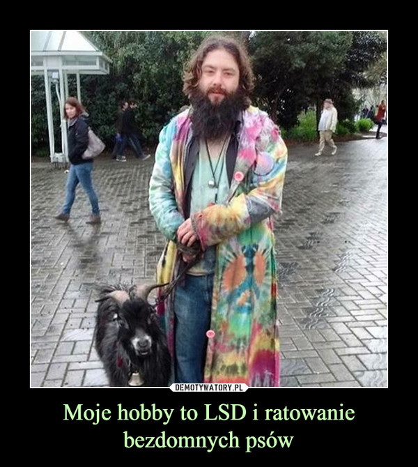 Moje hobby to LSD i ratowaniebezdomnych psów –  