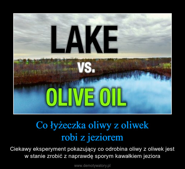 Co łyżeczka oliwy z oliwekrobi z jeziorem – Ciekawy eksperyment pokazujący co odrobina oliwy z oliwek jest w stanie zrobić z naprawdę sporym kawałkiem jeziora 