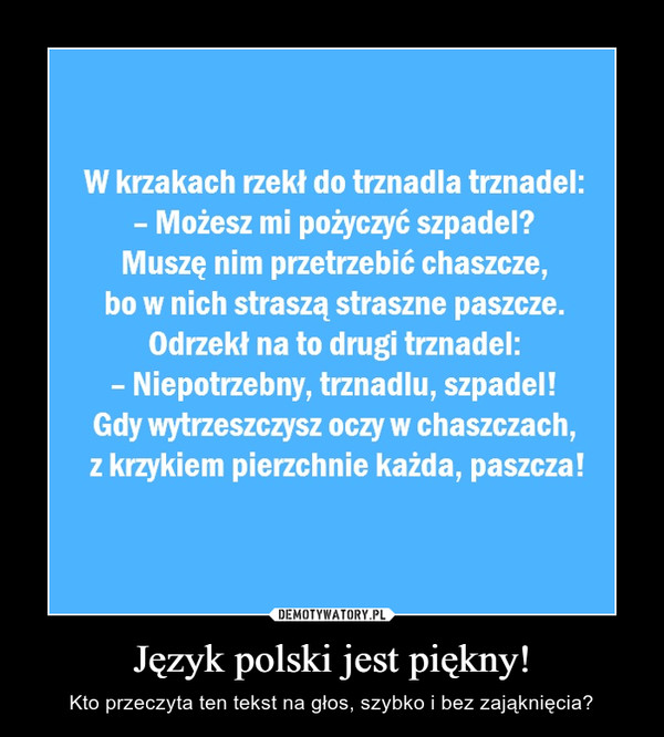 Język polski jest piękny!