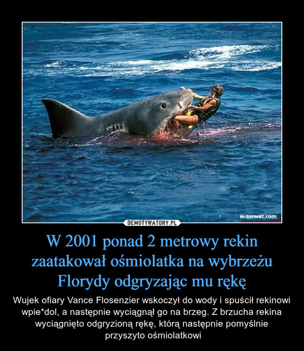 W 2001 ponad 2 metrowy rekin zaatakował ośmiolatka na wybrzeżu Florydy odgryzając mu rękę