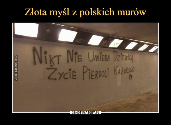 Złota myśl z polskich murów