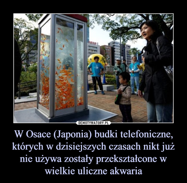 W Osace (Japonia) budki telefoniczne, których w dzisiejszych czasach nikt już nie używa zostały przekształcone w wielkie uliczne akwaria