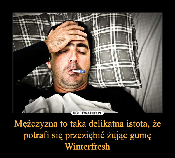 Mężczyzna to taka delikatna istota, że potrafi się przeziębić żując gumę Winterfresh –  