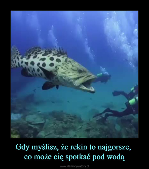 Gdy myślisz, że rekin to najgorsze, co może cię spotkać pod wodą –  