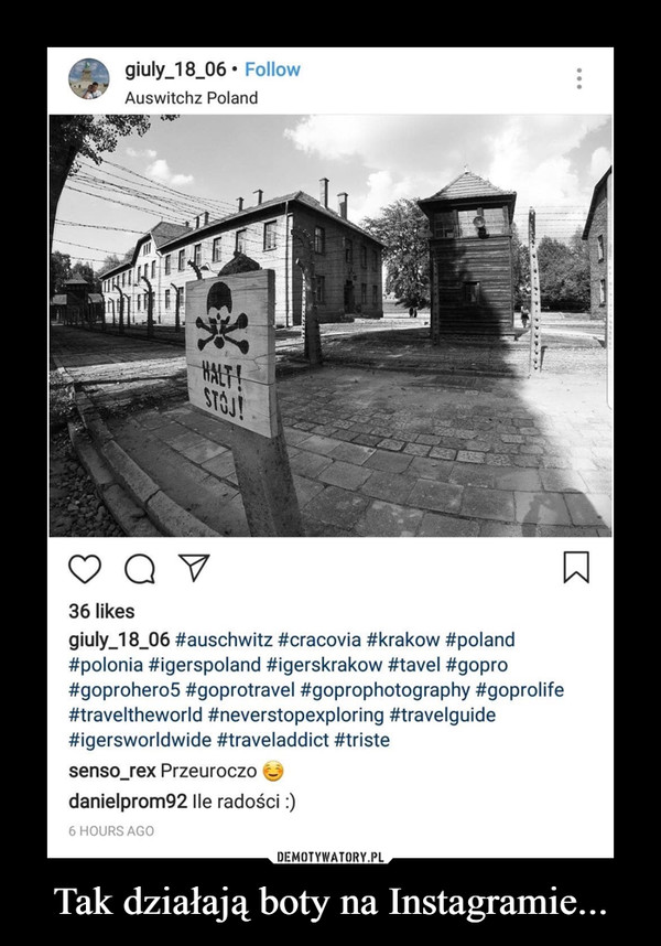 Tak działają boty na Instagramie... –  Auswitchz Polandsenso rex Przeuroczo danielprom92 Ile radości :)