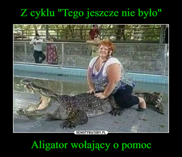 Aligator wołający o pomoc –  