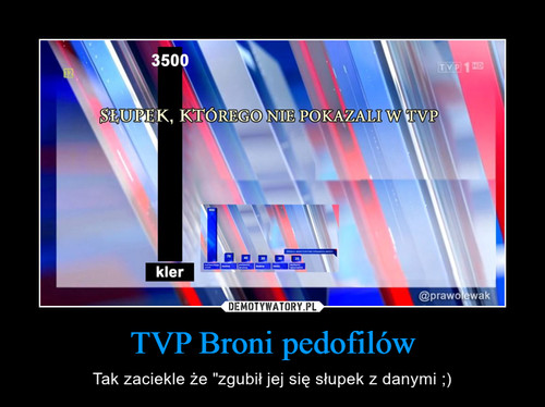 TVP Broni pedofilów