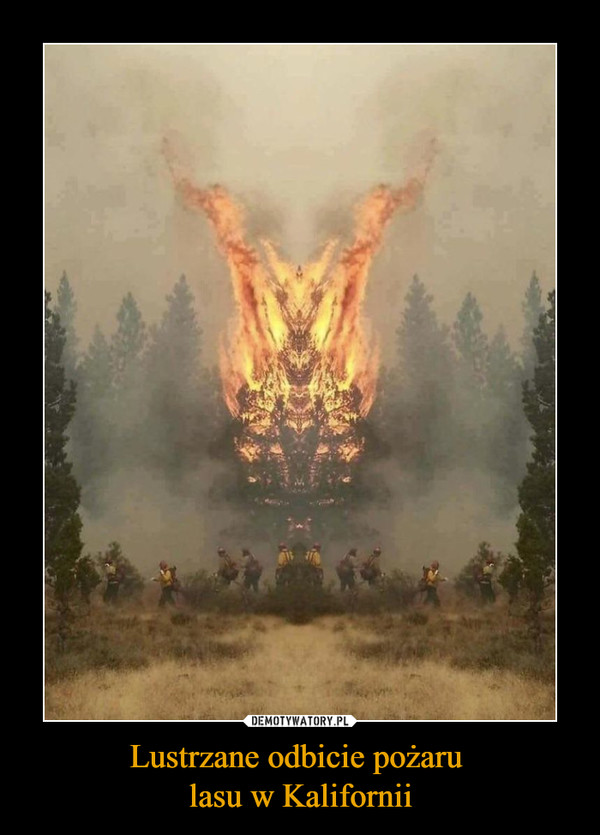 Lustrzane odbicie pożaru lasu w Kalifornii –  