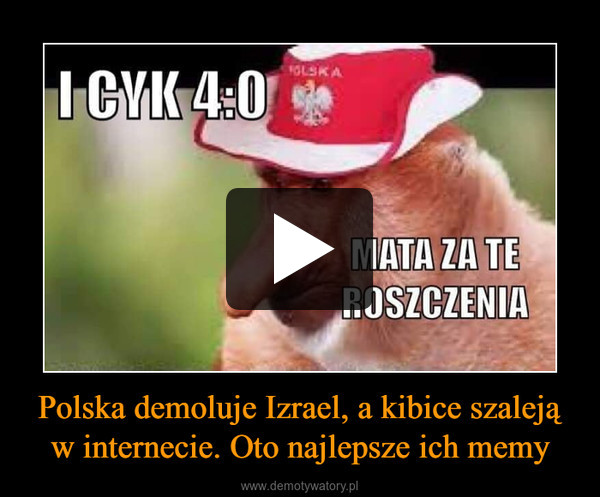 Polska demoluje Izrael, a kibice szaleją w internecie. Oto najlepsze ich memy –  