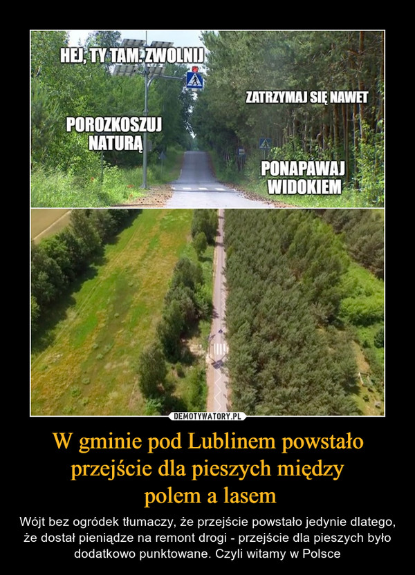 W gminie pod Lublinem powstało przejście dla pieszych między polem a lasem – Wójt bez ogródek tłumaczy, że przejście powstało jedynie dlatego, że dostał pieniądze na remont drogi - przejście dla pieszych było dodatkowo punktowane. Czyli witamy w Polsce 