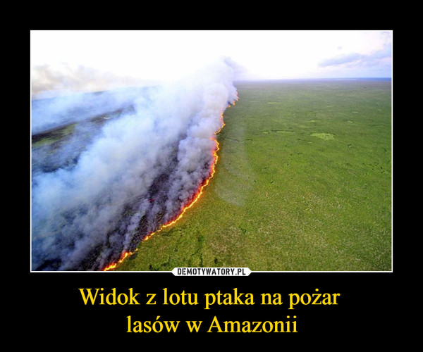 Widok z lotu ptaka na pożar lasów w Amazonii –  