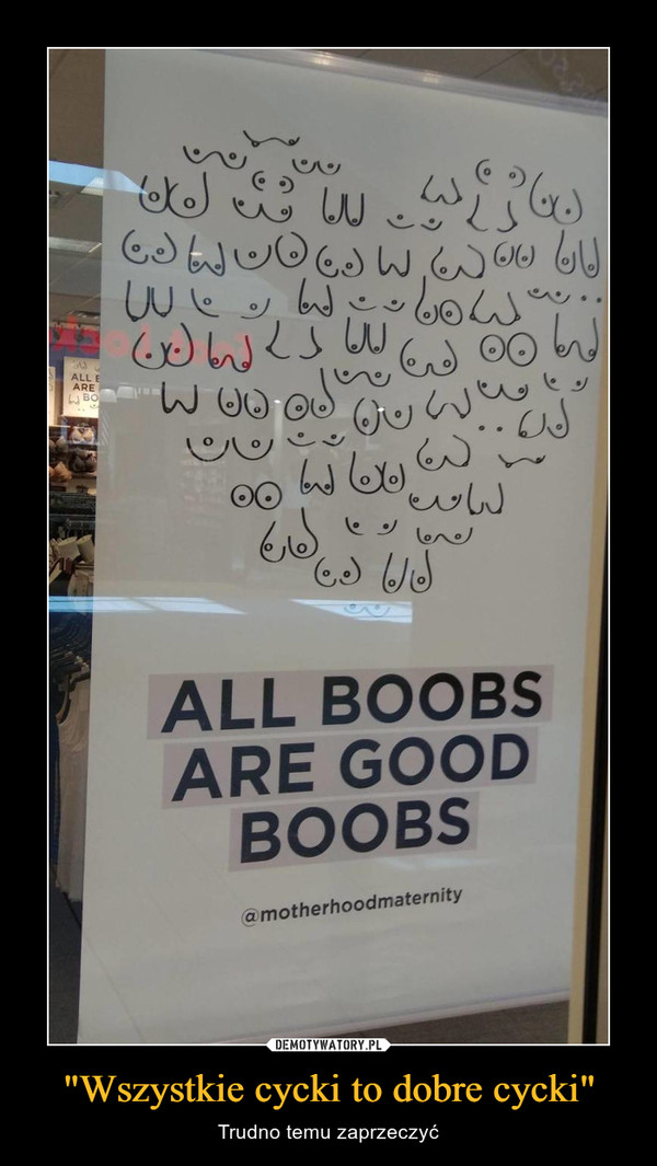 "Wszystkie cycki to dobre cycki" – Trudno temu zaprzeczyć All boobs are good boobs