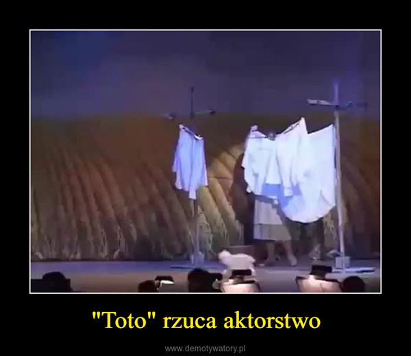 "Toto" rzuca aktorstwo –  