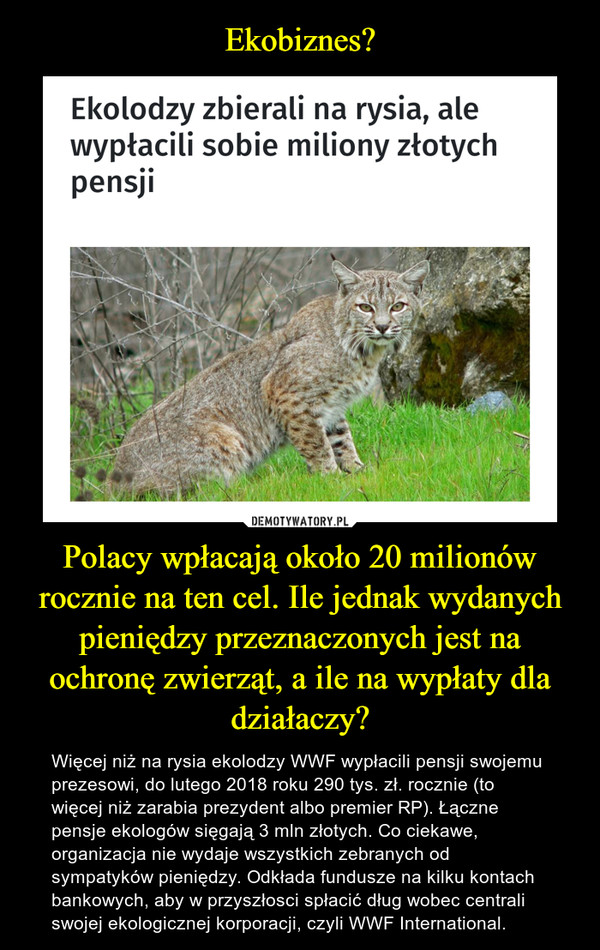 Ekobiznes? Polacy wpłacają około 20 milionów rocznie na ten cel. Ile jednak wydanych pieniędzy przeznaczonych jest na ochronę zwierząt, a ile na wypłaty dla działaczy?