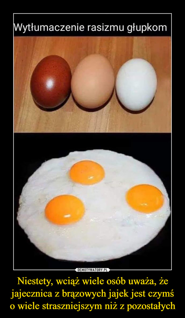 Niestety, wciąż wiele osób uważa, że jajecznica z brązowych jajek jest czymś o wiele straszniejszym niż z pozostałych –  