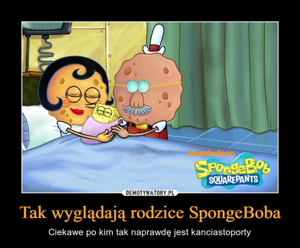 Tak wyglądają rodzice SpongeBoba