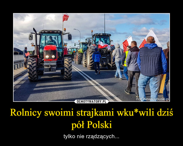 Rolnicy swoimi strajkami wku*wili dziś pół Polski – tylko nie rządzących... 