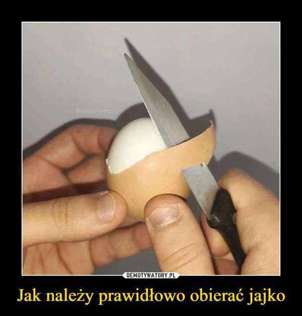 Jak należy prawidłowo obierać jajko –  