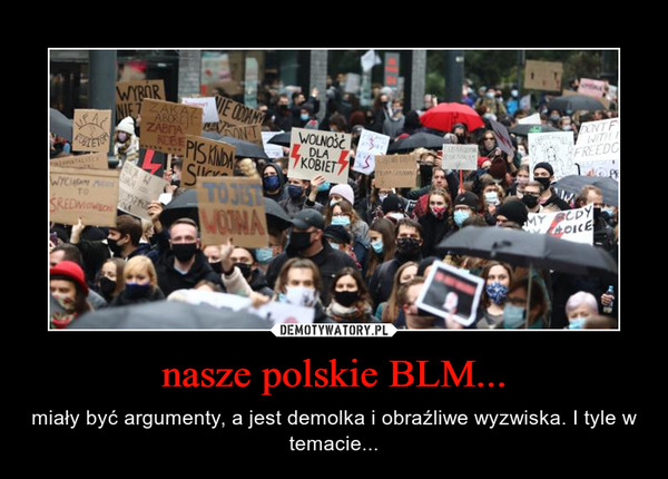 nasze polskie BLM... – miały być argumenty, a jest demolka i obraźliwe wyzwiska. I tyle w temacie... 