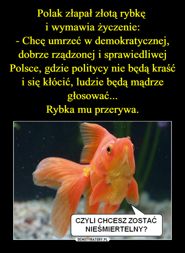 Polak złapał złotą rybkę 
i wymawia życzenie:
- Chcę umrzeć w demokratycznej, dobrze rządzonej i sprawiedliwej Polsce, gdzie politycy nie będą kraść i się kłócić, ludzie będą mądrze głosować...
Rybka mu przerywa.