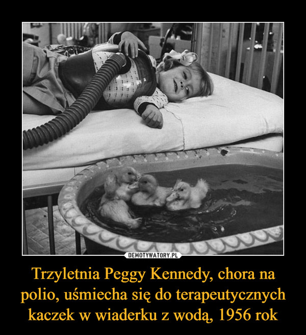 Trzyletnia Peggy Kennedy, chora na polio, uśmiecha się do terapeutycznych kaczek w wiaderku z wodą, 1956 rok