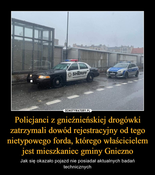 Policjanci z gnieźnieńskiej drogówki zatrzymali dowód rejestracyjny od tego nietypowego forda, którego właścicielem jest mieszkaniec gminy Gniezno