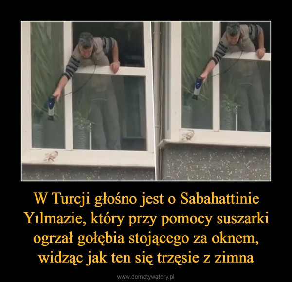 W Turcji głośno jest o Sabahattinie Yılmazie, który przy pomocy suszarki ogrzał gołębia stojącego za oknem, widząc jak ten się trzęsie z zimna –  