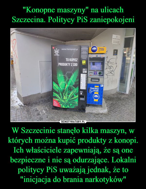 "Konopne maszyny" na ulicach Szczecina. Politycy PiS zaniepokojeni W Szczecinie stanęło kilka maszyn, w których można kupić produkty z konopi. Ich właściciele zapewniają, że są one bezpieczne i nie są odurzające. Lokalni politycy PiS uważają jednak, że to "inicjacja do brania narkotyków"