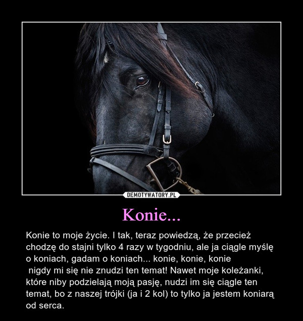 Konie...