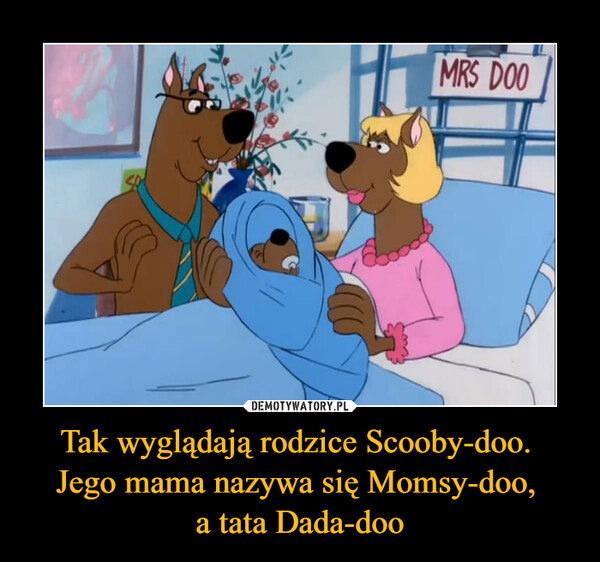 Tak wyglądają rodzice Scooby-doo. Jego mama nazywa się Momsy-doo, a tata Dada-doo –  