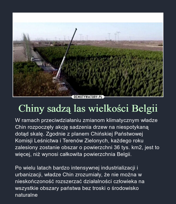 Chiny sadzą las wielkości Belgii – W ramach przeciwdziałaniu zmianom klimatycznym władze Chin rozpoczęły akcję sadzenia drzew na niespotykaną dotąd skalę. Zgodnie z planem Chińskiej Państwowej Komisji Leśnictwa i Terenów Zielonych, każdego roku zalesiony zostanie obszar o powierzchni 36 tys. km2, jest to więcej, niż wynosi całkowita powierzchnia Belgii.Po wielu latach bardzo intensywnej industrializacji i urbanizacji, władze Chin zrozumiały, że nie można w nieskończoność rozszerzać działalności człowieka na wszystkie obszary państwa bez troski o środowisko naturalne 