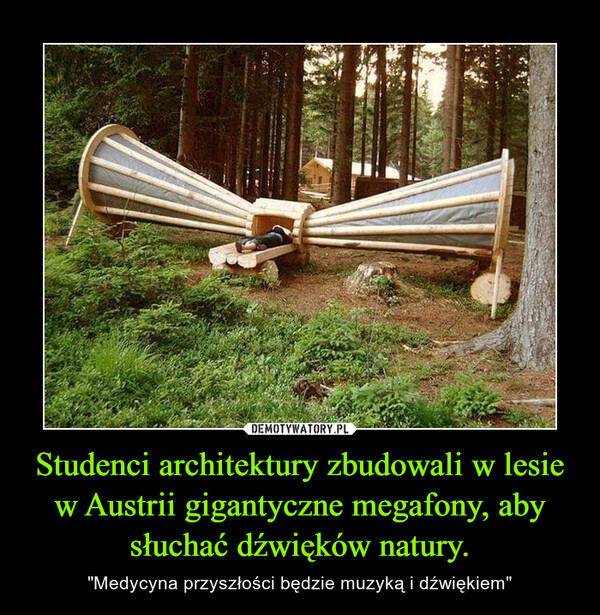 Studenci architektury zbudowali w lesie w Austrii gigantyczne megafony, aby słuchać dźwięków natury. – "Medycyna przyszłości będzie muzyką i dźwiękiem" 